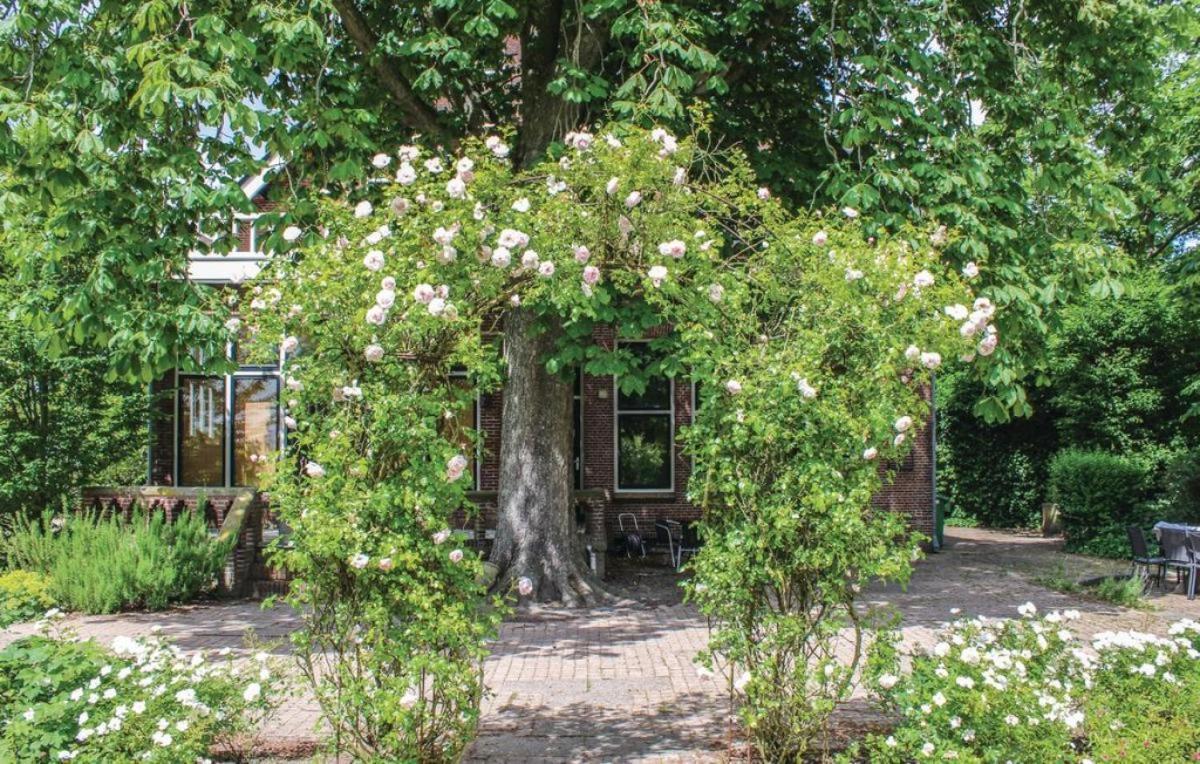 Seulle State Holiday home *